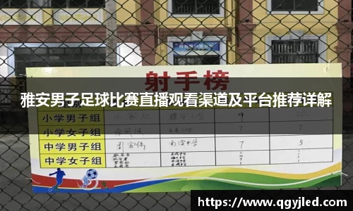 雅安男子足球比赛直播观看渠道及平台推荐详解