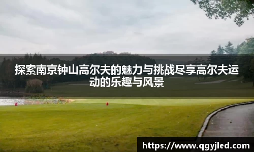 探索南京钟山高尔夫的魅力与挑战尽享高尔夫运动的乐趣与风景