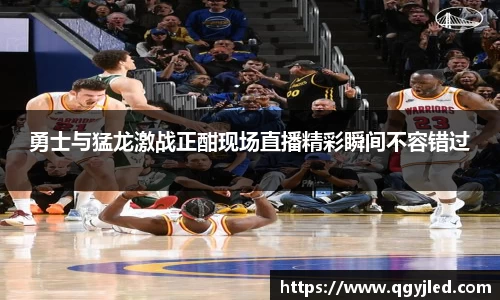 勇士与猛龙激战正酣现场直播精彩瞬间不容错过